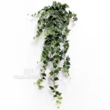 Edera cm 100 Variegated Frosted x 244 foglie mini - Cadente-Piante artificiali , cespuglio edera verde, cadente.