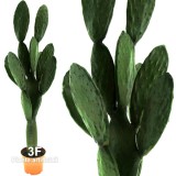 CACTUS FICO D'INDIA h cm 160-cactus fico d india artificiale