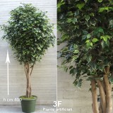 FICUS ELEGANCE (44) - ALTO FUSTO-alberi artificialli ficus benjamin artificiale