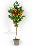 Arancio artificiale-Piante artificiali da frutto, arancio artificiale
