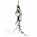 LIANA ARTIFICIALE cm 100 - RAMO MODELLABILE-piante artificiali, Liana artificiale con muschio e foglie.