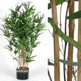 Bamboo Panda h cm 100 UVR - 5/6 Canne Naturali-Bamboo Artificiale, per uso esterno