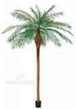Palma Roebelenii Verde UVR cm 280-Piante artificiali. Palma Roebelenii artificiale, adatta all'uso esterno.