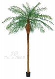 Palma Roebelenii Verde UVR cm 370-Piante artificiali. Palma Roebelenii artificiale, adatta all'uso esterno.