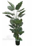 AGLAOMENA cm 170 x 30 foglie-Piante artificiali, Aglaomena artificiale.