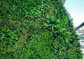 Giardino artificiale Mix Green